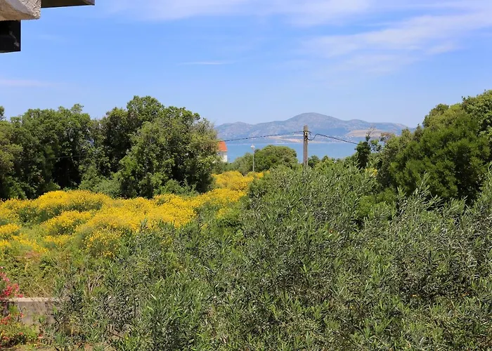 Apartamento 10127c *